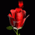 hadjouabdou profile picture
