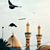 member hamoody_na