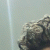 member hanane_gha