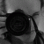 harmme profile picture