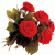 member harsha_nwn