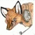 member haru_fox
