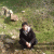 hasanefe profile picture