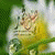 member hassan_ali2