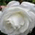 hayati_lil profile picture