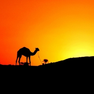 hellodubai