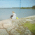 member helsinkihei