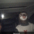 member hoomzi