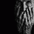member huda_al_sa