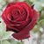 member hussam_abd