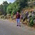 member hussam_adi