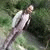 member hussein_ab