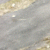 member Ievgen1983