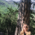 Iriska1 profile picture