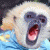 ItalianForEnglish profile picture