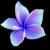 member Ivoria