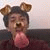 member ian_atzin_