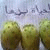 member ibraheem_m