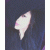 member imdaniela