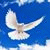 ionica_por profile picture