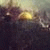 is_lam2 profile picture