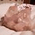 member isabel_sor