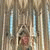 member iva_nerada