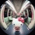 member iwilldo_ve