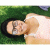 member Jessica_Torres