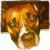 JessyBelle profile picture
