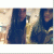 member Jimenara18
