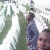 member Joelwatamali