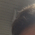 member JohannesHJK