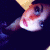 Joohanna profile picture