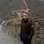 member jamie_kier