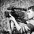member jamil_salh