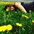 jane_vasil profile picture