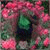 member jose_acost