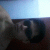 member josesantosYC