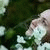 member juliya_pet