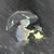 justin_shi profile picture
