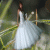 K-Oksana profile picture