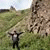 member kadirbek_1