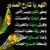 member kamal_jass