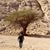 karam_ahme profile picture