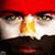 member karim_mors2