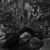 member kateruna_l