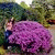 member kateryna_o