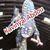 kavinyal_a profile picture