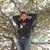member kenan_alae